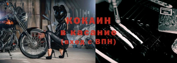 дживик Липки