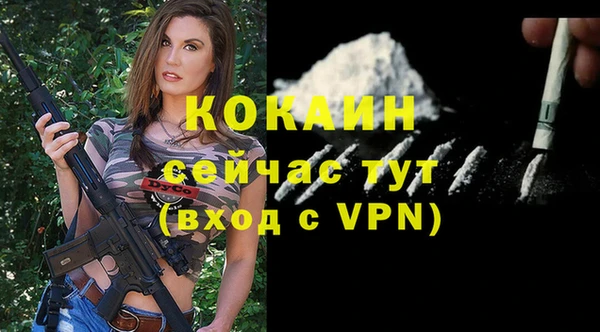 дживик Липки