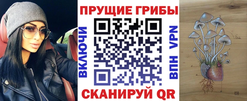Псилоцибиновые грибы ЛСД  Купить  Каменногорск 